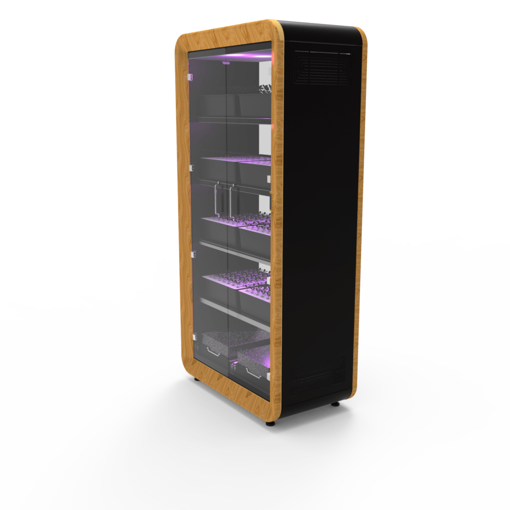 ejemplo de prototipado